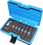 15-частей. 10mm(3/8") torx насадки комплект. длинный/короткий. t20-t55 triumf