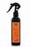 Spray õhuvärskendaja AIR SPICE 200ml - Summer Club