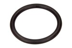  8200068583 / throttle valve seal (large) renault clio (98- ), kangoo, laguna i, megane i, modus, scenic i, thalia 1.4-2.0