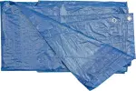 Koormakate 3x5m 75g/m2 sinine
