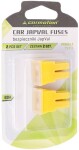 kaitse japval type f 60a 2tk blister carmotion