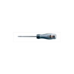 Kruvikeeraja rist Pz2x100