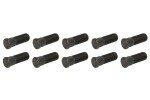velg pin M16x1,5 x50mm (10 tk.) sobib: ADR