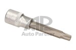 1/2 padrun TORX T50X100 MM