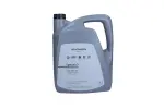 täissünt Originaalõli VAG 5W40 5L SPECIAL D / 505.00 505.01 / GS55505M4EUR