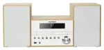 Blaupunkt MS45BT