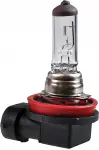 12v h11 pirn 55w pgj19-2 m-tech