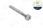  Kruvi, sissepritsedüüsi kinnitus Original AIC Quality 57984