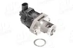 EGR-klapp Original AIC Quality 70377