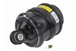 AIC Õhkvedru (õhkpadi,  lõõts) Dunlop Original spare part 71189