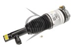 AIC 71236