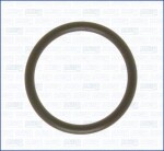 AJUSA 16020200