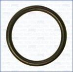 AJUSA Rõngastihend 16097800
