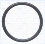 AJUSA 16138300