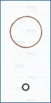 AJUSA  Tihendikomplekt,Sisselaskekollektor 77013200