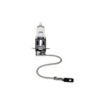AM-691 Pirn halogeen H-3 6V 55W