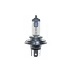 AM-790 Pirn H4 24v100/90w P43t
