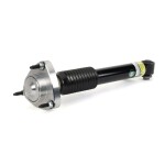 Arnott Amort SK-3607
