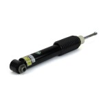 Arnott Amort SK-3936