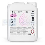 CLEANTECH CTL-CF5L / cleantle citrus foam 5l pink grapefruit