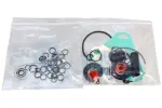 DELPHI 7135-124 / DPA injection pump repair kit
