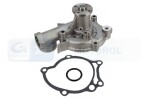 JAPONIA-POMPY WODY 10-0618S / water pump service parts