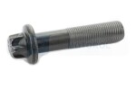 OE FIAT 55187537 / crankshaft gear bolt left side fits: alfa romeo mito, fiat 500, 500 c, 500l, doblo, doblo cargo, doblo/minivan, fiorino/minivan, grande punto, idea, linea, panda, panda/hatchback 1.3d 06.03-