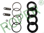 ROPER-REPERATURKI ZACISKU, TLOCZKI RR319 / repair of the tooth clamp