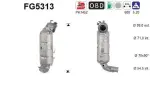 Tahmafilter /  DPF filter (kübemefilter) FG5313