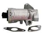 ASHIKA EGR-klapp 150-0L-L05