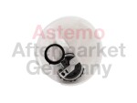ASTEMO-HITACHI 2503178