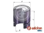 AUTOFREN SEINSA  Kolvid,pidurisadul D025357