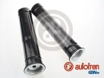 AUTOFREN SEINSA Tolmukaitse komplekt,  Amordid D5219