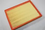 AUTOMEGA Õhufilter 180031310
