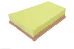 AUTOMEGA Õhufilter 180034910