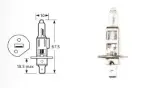Autopirn H1 24V 70W P14,5s RING