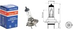 Autopirn 24V 70W H7 PX26D