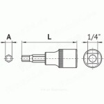 PADRUN 1/4 7MM KUUSKANT