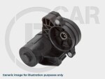 B CAR 009AD017