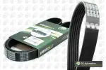 BGA Soonrihm 6PK1249E