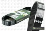 BGA Soonrihm 7PK1795