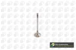 BGA Sisselaskeklapp V142049