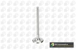 BGA Sisselaskeklapp V998716