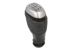 BLIC 6009-00-00001P