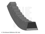 BLUE PRINT Kiilrihmad AD13V950