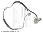BLUE PRINT Pidurivoolik ADA105317