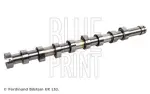 BLUE PRINT Nukkvõll ADBP610002