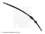 BLUE PRINT Pidurivoolik ADM55389