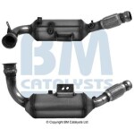 BM Catalysts BM11666H