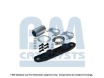 BM Catalysts FK11217C